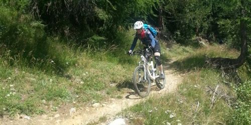 Goms & Saflischpass 