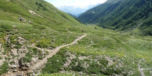 Goms & Saflischpass 