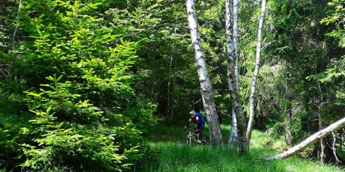 Tessiner Traumtrails    