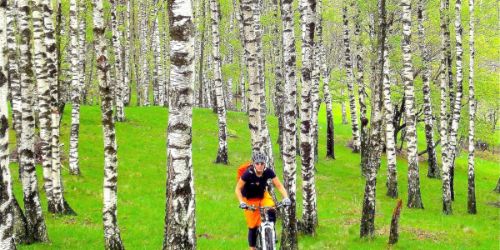 Tessiner Traumtrails    