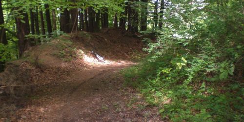 Einrollen rund um Bülach