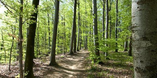 Einrollen rund um Bülach