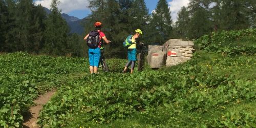 Passo del Sole – Gotthard