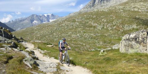 Aletschgebiet - Grimsel