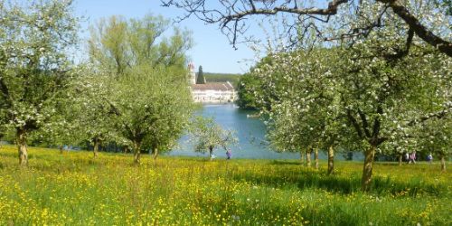 Schaffhausen