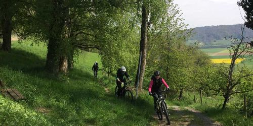 Einrollen Bülach Umgebung