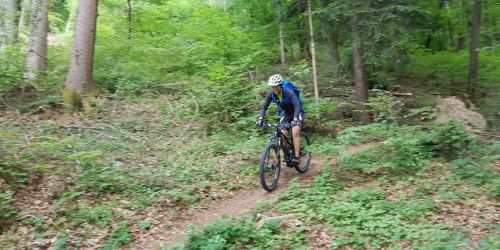 Einrollen rund um Bülach