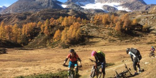 Engadin