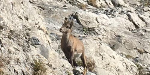 Engadin