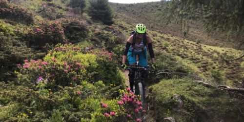 Enduro Bike Camp Lenzerheide