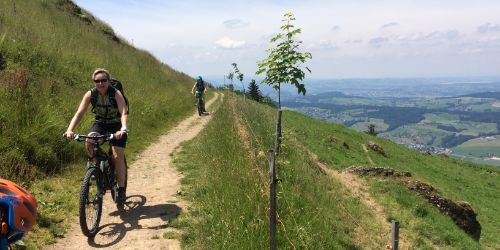 Rigi-Bike