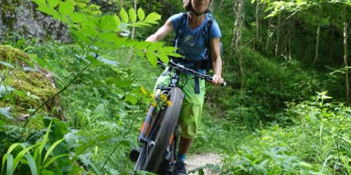 Rigi-Bike