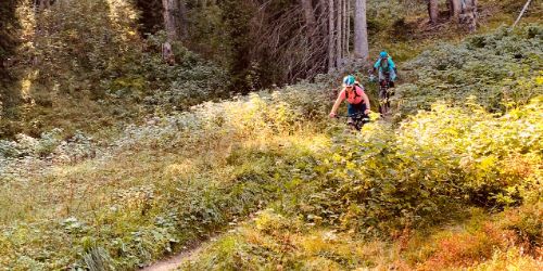 Ladies Enduro Bike Camp Lenzerheide