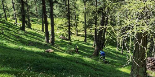 Ladies Enduro Bike Camp Lenzerheide