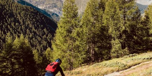 Zermatt und Umgebung