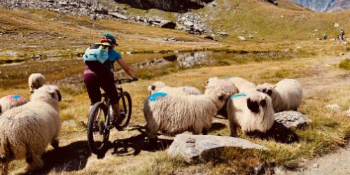 Zermatt und Umgebung